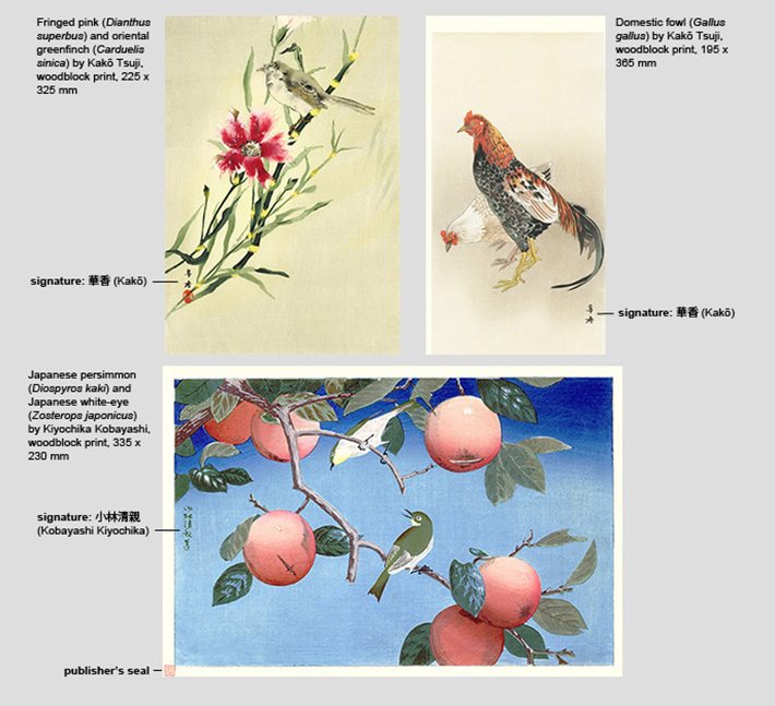 Picture Border 1870s-1920s